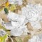 White Modern Peonies II Poster Print by Lanie Loreth - Item # VARPDX9893B